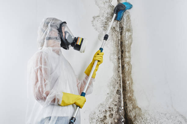 Water damage restoration experts in Conrad, IA